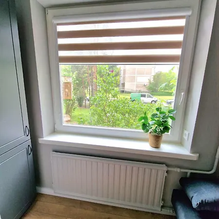 Trumpalaike Butu Nuoma Kaune Prie Kliniku Miniukas Self Check-in Apartamento *