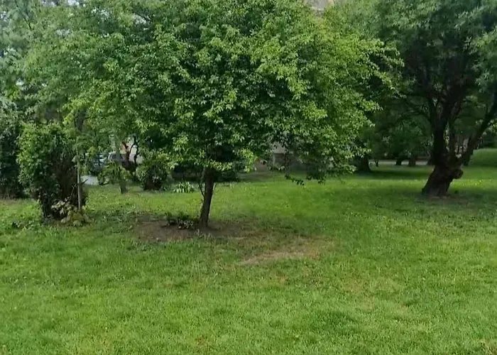 Apartment Trumpalaike Butu Nuoma Kaune Prie Kliniku Miniukas Self Check-in *