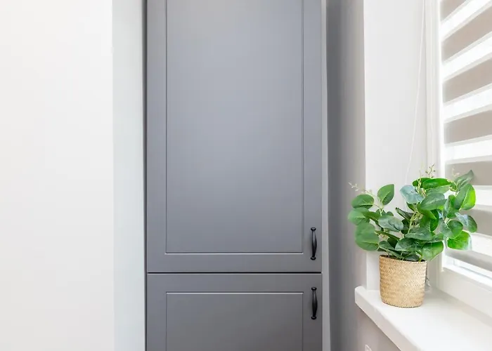 Trumpalaike Butu Nuoma Kaune Prie Kliniku Miniukas Self Check-in Apartment